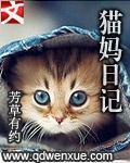 给猫洗澡日记