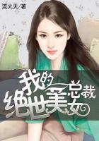 我的绝世美女总裁 - 作者流火天