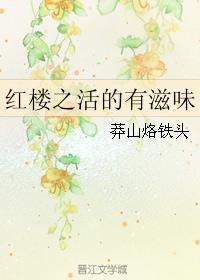 红楼之活的有滋味TXT