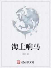 海上响马