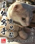 这个写手是只猫